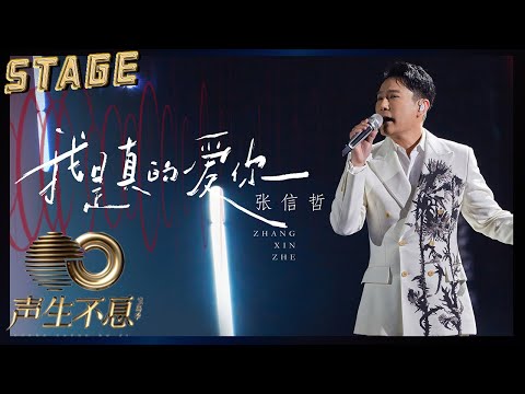【纯享】张信哲《我是真的爱你》| 温柔开唱泛起心中酸甜,时间会让爱作出回应 | 声生不息宝岛季 EP1 Infinity and Beyond 2023 | MangoTV