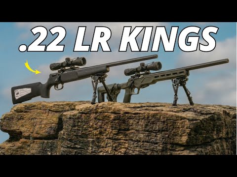 Top 10 Best .22 LR Rifles of 2026 (Ranked & Tested)!