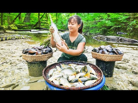 Harvesting A Lot Of Fish At Mud Pond Goes to market sell - Cooking fish | Tiểu Vân Daily Life