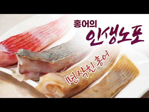 홍어는 삭혀서 먹어야 제맛 아닙니까? | 혀를 알싸하게 조여오면서 감칠맛까지 끝내줍니다 | 오늘 저녁 소주 한잔 하시지요 #인생노포 #박상현 #박찬일 #홍어 #흑산도 #금메달식당
