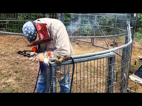 104 wild hogs have been caught. But we had to weld the trap together.