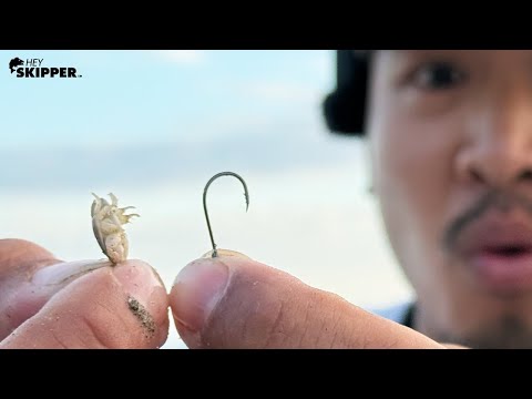 The SMALLEST Baits I've Ever Used! Beach Fishing California