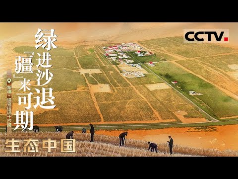 《生态中国》04 绿进沙退 “疆”来可期：治沙人把生计种进沙里 让“沙进人退”变成“绿进沙退”的新篇章【CCTV纪录】