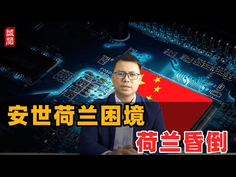 荷兰安世恐倒闭！荷兰昏倒