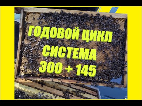 От теории к практике. ТЕХНОЛОГИЯ.