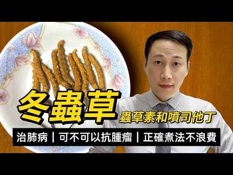 冬蟲夏草，功效和注意，壯陽補肺化痰，是否具有抗腫瘤效應？便宜的頂替品效果更強？如何服用不浪費有效果？