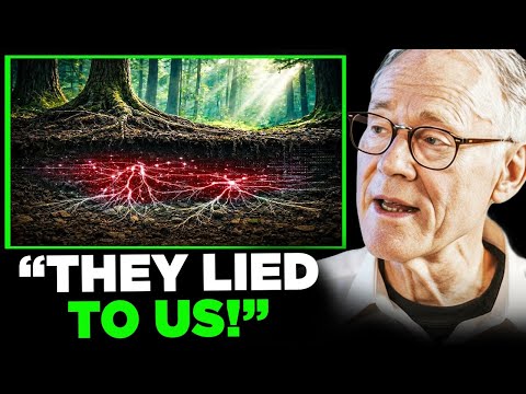 Scientists Found a Living Fungal Network Beneath Earth And — What They're Doing Is TERRIFYING!