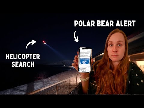 SNOWSTORM (and a Polar Bear in our cabin area)︱Svalbard