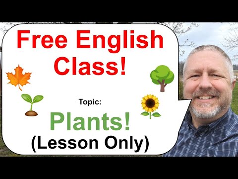 Free English Class! Topic: Plants! π±π³π» (Lesson Only)