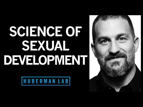 How Hormones Shape Sexual Development