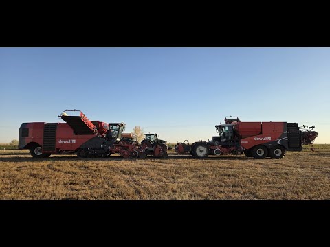 CP Farms 2025 season recap