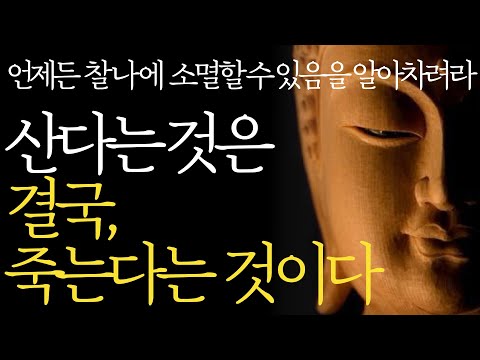 석가모니 명언 | 인생조언ㅣ수많은 죽음을 목격하면서 깨닫게 된 행복의 비밀 l 평온한 삶과 죽음을 받아들이는 방법 | 90세가 가까워지니 죽음의 불안이 찾아왔다 | 부처님말씀 지혜