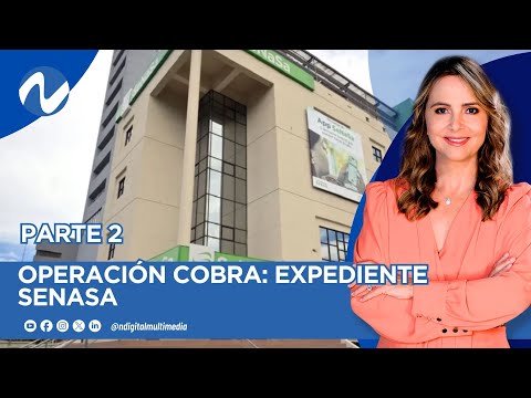 OPERACIÓN COBRA: EXPEDIENTE SENASA parte 2
