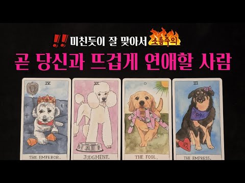 [타로] 😲앞으로 나와 연애하게 될 사람💕외모 성향 직업 딱! 집어 알려드려요🔥
