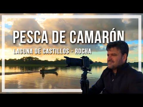 🔹 PESCA artesanal de CAMARÓN en Uruguay, 🔹programa Contacto🌎🌍