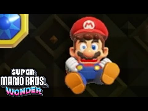 Super Mario Bros Wonder: The FINAL Final Level!