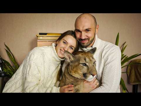 This Young Couple Adopted a Puma... Now It Thinks It’s a House Cat