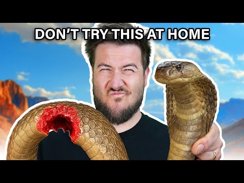 This Week in Utterly Unhinged News