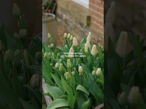 Counting down until our #cotswolds garden looks like this again π± #cotswoldstyle #gardening