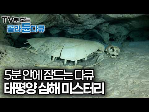 과학으로도 풀리지 않은 태평양 심해의 미스터리｜태평양 심해 탐사｜수면다큐｜다큐프라임｜#골라듄다큐
