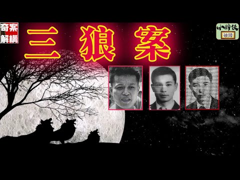 《奇案解構EP.29》三狼案(上集） #黃應求 #雙黃案 #黃錫彬 #李渭 #馬廣燦 #倪秉堅