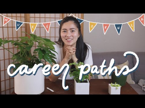 The Career Paths in Software Engineering