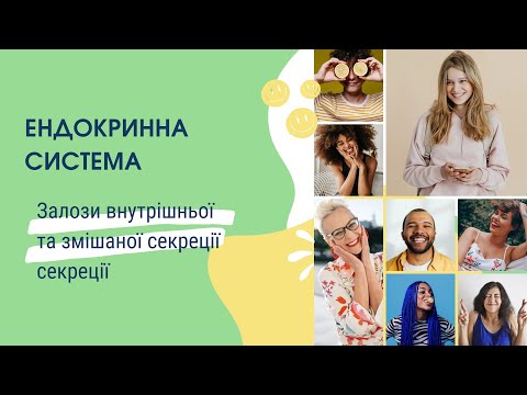 Ендокринна система. Залози внутрішньої та змішаної секреції секреції