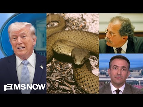 Snakes & ‘insane’ rants: SEE Trump’s decline as reported by NYT, WH Vet SPEAKS