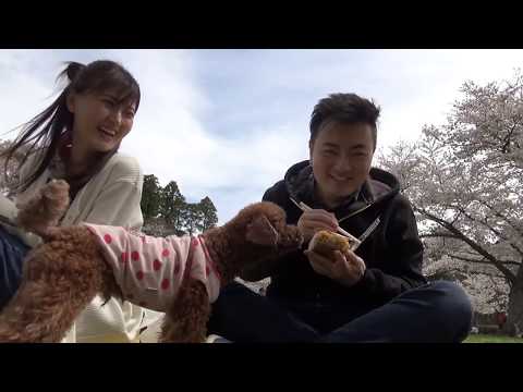 【暗黑料理】炸櫻花，炸漢堡，炸西瓜，炸草莓 Cherry Blossom Hamburger Tempura l 妙見神與方臉