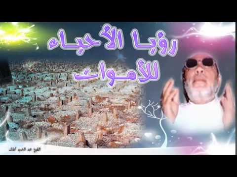 الشيخ عبد الحميد كشك / رؤيا الأحياء للأموات