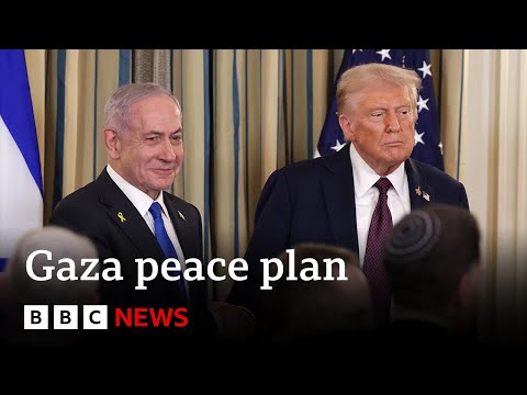 Donald Trump and Benjamin Netanyahu agree Gaza peace plan | BBC News