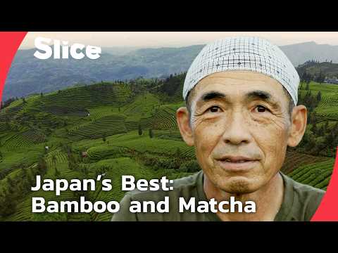 Inside Japan’s Green Heart: Bamboo Forests & the Art of Matcha | SLICE