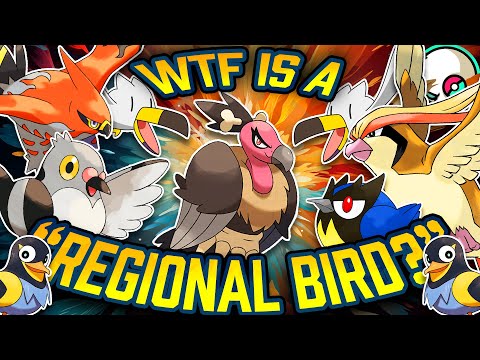 The USELESS Pokemon Term I've Obsessed Over...🦤