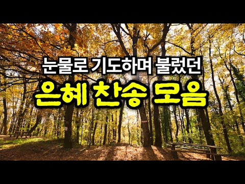 [새벽기도용] 고요한 아침을 깨우는 찬송가 3시간 연속듣기(광고없음)
