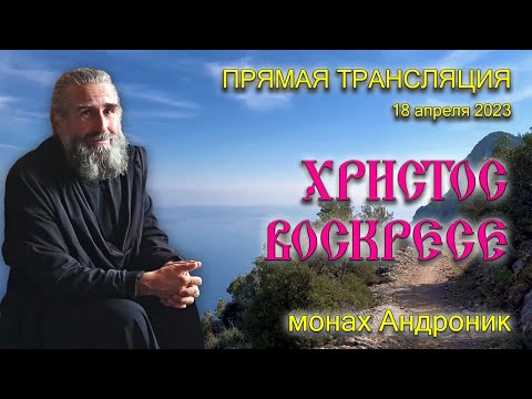 Пост сверх меры. Мытарства. Блудные грехи. Догмат о спасении | Монах Андроник | Прямой эфир | Афон