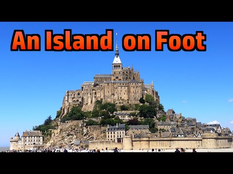 Random Stuff - Garden (First Harvest), Normandy (incl D-Day Utah Beach), Comment Positivity