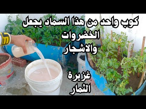 كوب واحد فقط من هذا السماد الموجود في كل بيت يجعل الخضروات والاشجار غزيرة الثمار وسريعة النمو شاهد