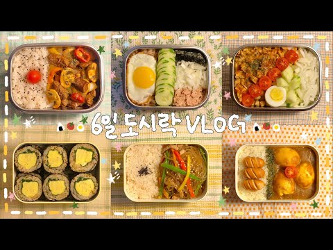 [VLOG] ･｡ﾟ간단🌟주 6일 도시락 싸기💪🏻(･ω･)💭찹스테이크🥩, 참치 오이 덮밥🥒, 연어 포케✨, 멸추 계란김밥🍳, 고추고기잡채밥🌶️, 구운계란 카레🥚