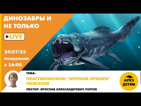 Занятие "Пластинокожие: «крепкие орешки» палеозоя" кружка Динозавры и не только с Ярославом Поповым