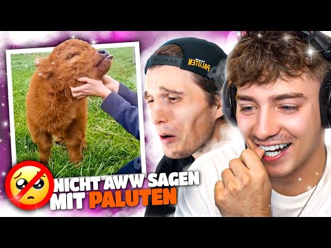 Die SÜßESTEN TIERE der WELT! | (nicht aww sagen mit Paluten!)