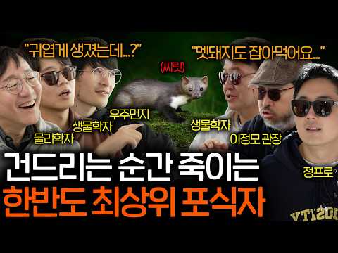 Who is the ultimate wild animal tyrant who has taken over our ecosystem? | See Science EP.160