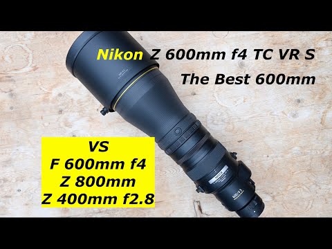 Nikon Z 600mm F4 TC. First Look FT Morten Hilmer. & Sample images.
