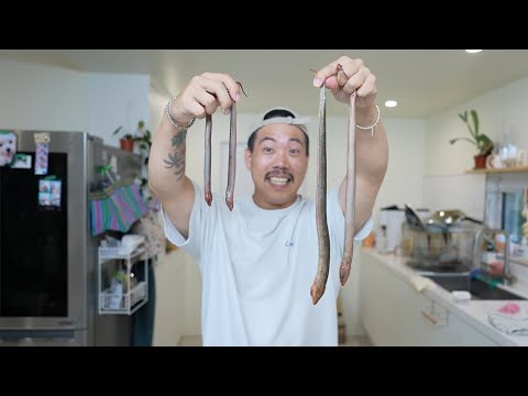 장어 아닙니다..! 우리나라 논을 망치는 녀석을 통째로 튀겨보겠습니다!