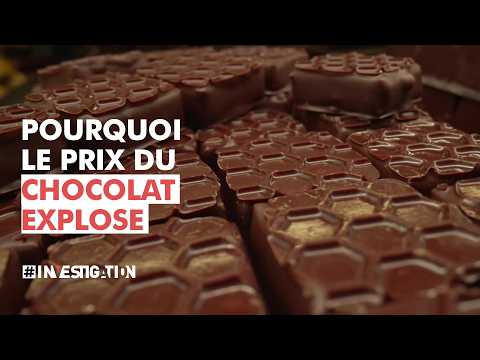 Pénurie de cacao : le prix du chocolat explose | #Investigation
