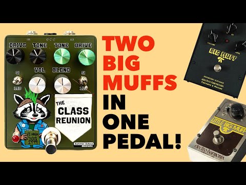 Playing Every Summer School Pedal (Trash Panda Modded Big Muff, Snow Day Delay, & New Class Reunion)