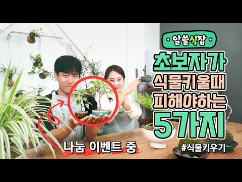 [All-in-One] Everything you need to know about growing plants! 5 things beginners should avoid do...