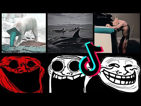 🥶 Coldest TrollFace Compilation 🥶 Troll Face Phonk Tiktoks 🥶 Coldest Moments Of All TIME #6
