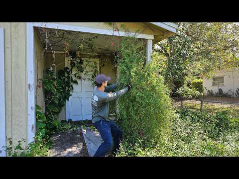 Cleaning Up The Neighborhood - Transforming OVERGROWN Property Teenagers Use as a DRUG HOUSE