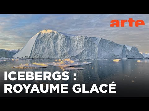 Icebergs, voyage avec les colosses éphémères | Mondes sauvages | ARTE Family