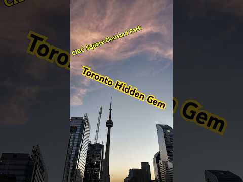 Hidden Park with a Gorgeous View in Downtown Toronto #torontolife #travel #downtowntoronto #canada